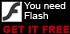 get flash player